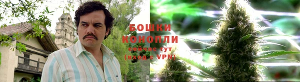 гашик Покров